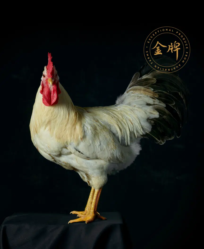 Aurum Poultry