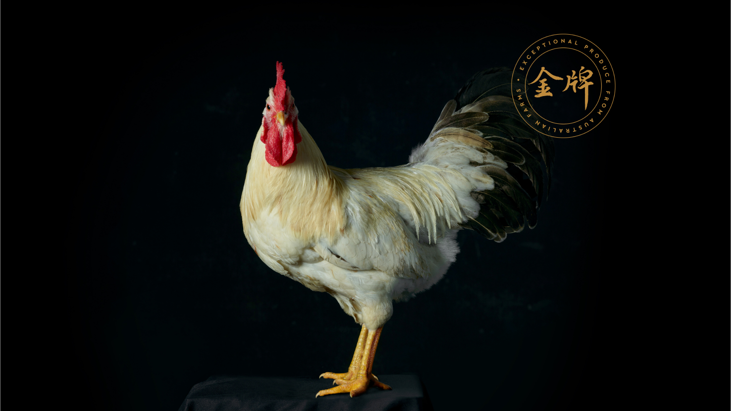 aurum-poultry-image-1