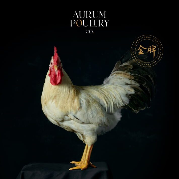 aurum-poultry-landing-page